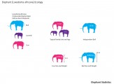 Elephant Statistics