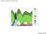 Elephant Activity
