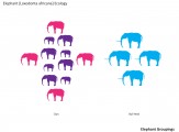 Elephant Groupings