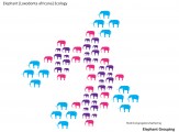 Elephant Groupings