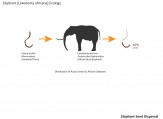 Elephant Seed Dispersal