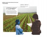 Xiani Orchards 01