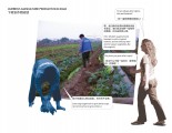 Xiani Agriculture 01